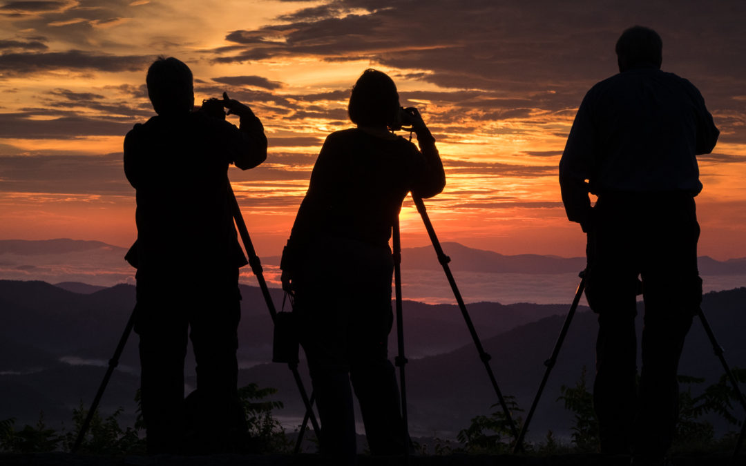 Don’t Waste Your Money on a Cheap Tripod